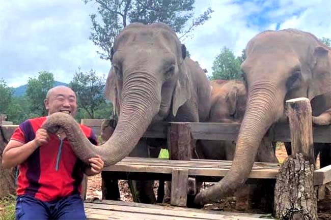 あっぱれコイズミさん